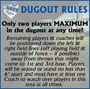 Picture of Dugout Rules