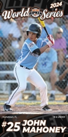 Picture of Decorate The Park Player Banner