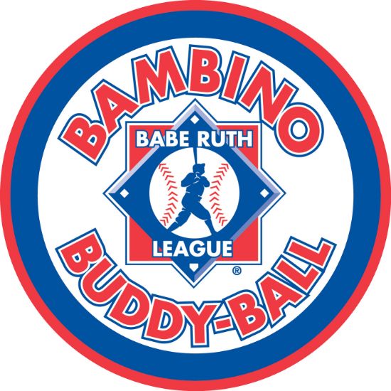 Picture of Bambino Buddy Ball Logo Banner - 5'x5'